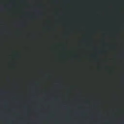 Profile image of M