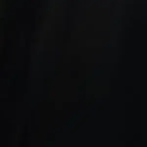 Profile image of T