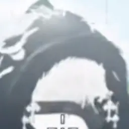 Profile image of Why