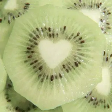 Profile image of 우유참치
