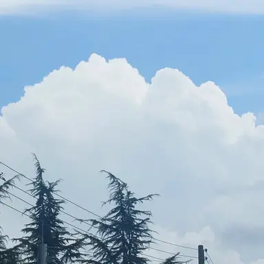 Profile image of 덕개