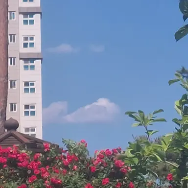 Profile image of 동생