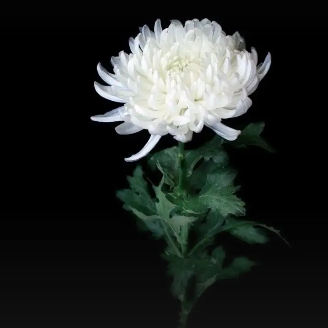 _Meker_의 [ 웃음. 재미를 주었던. ]