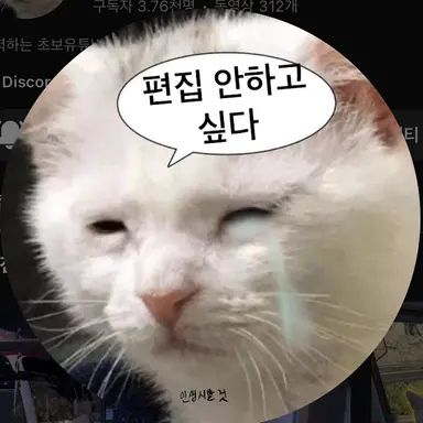 Profile image of ㅅㅌ