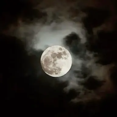 Profile image of Werewolf Breeding Ground