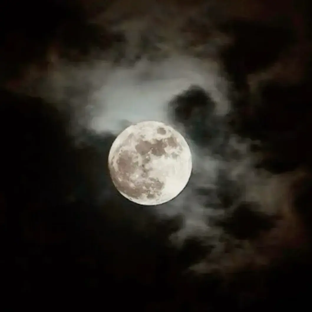 OvalDeath3201의 Werewolf Breeding Ground