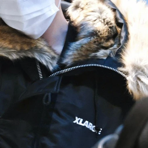 오시온