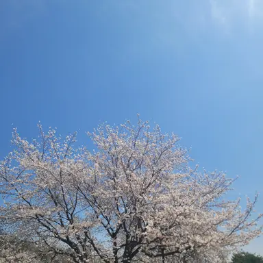 Profile image of 희주