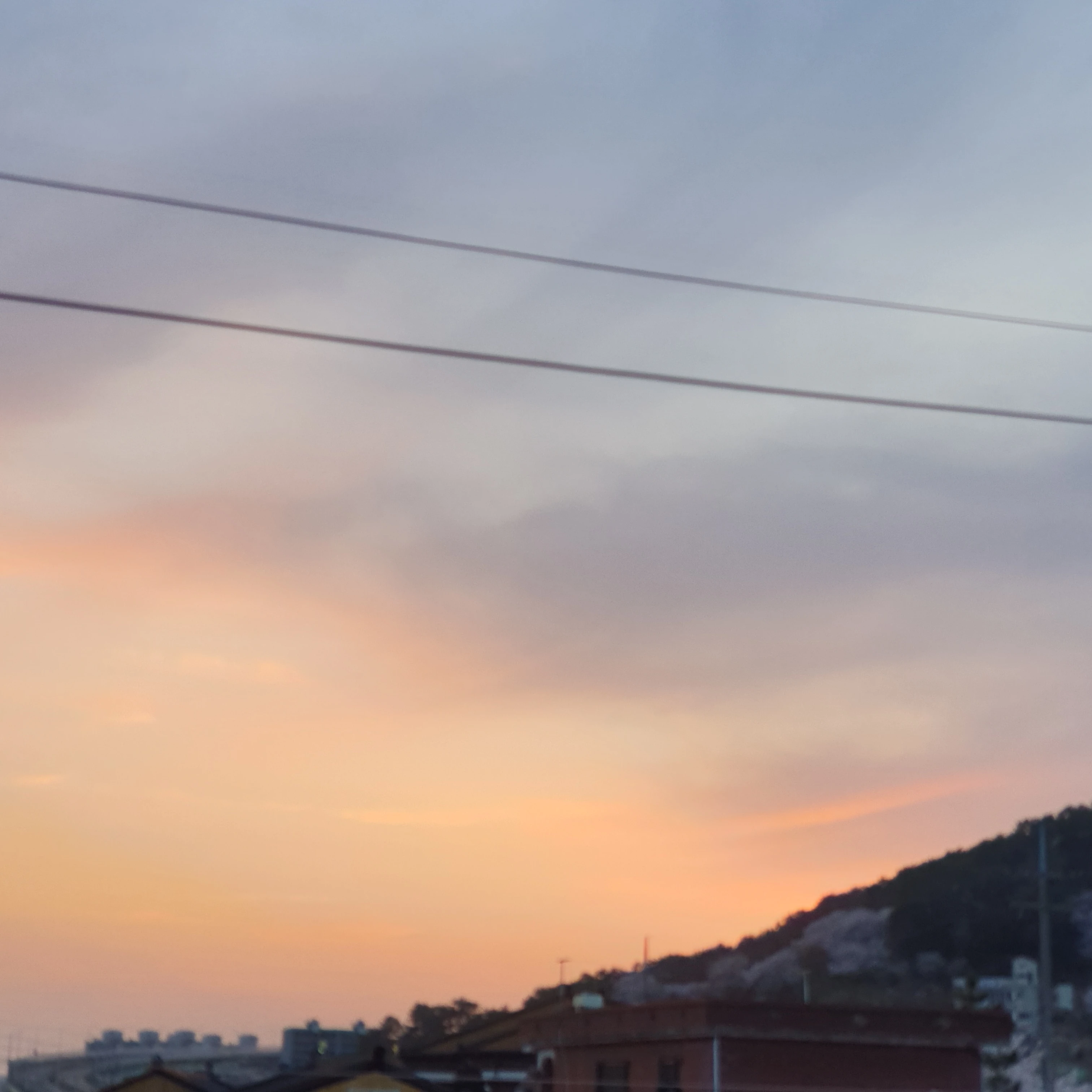 장도윤