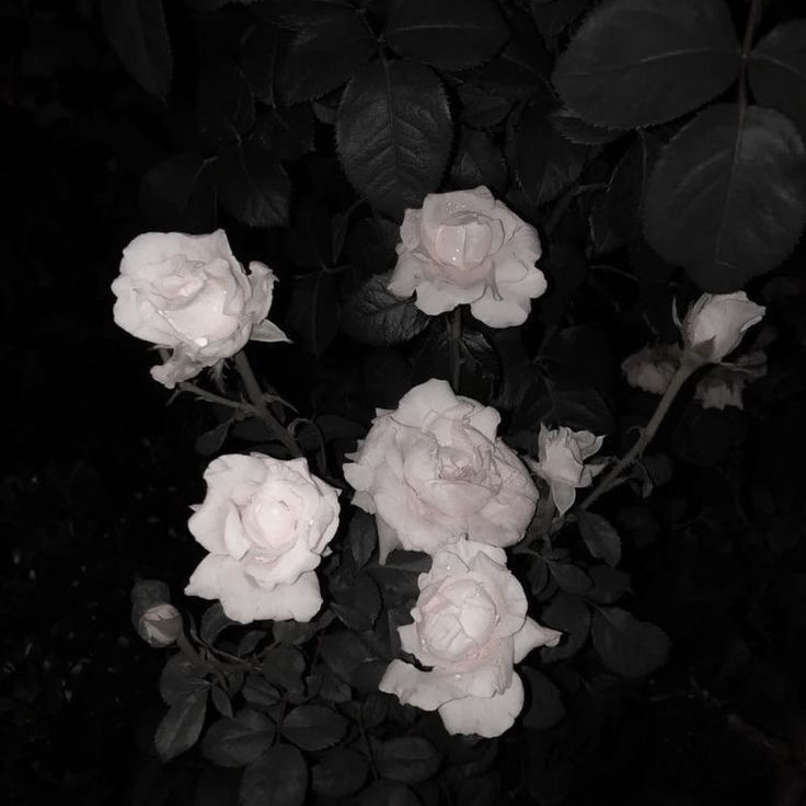 이재학 대표 이미지