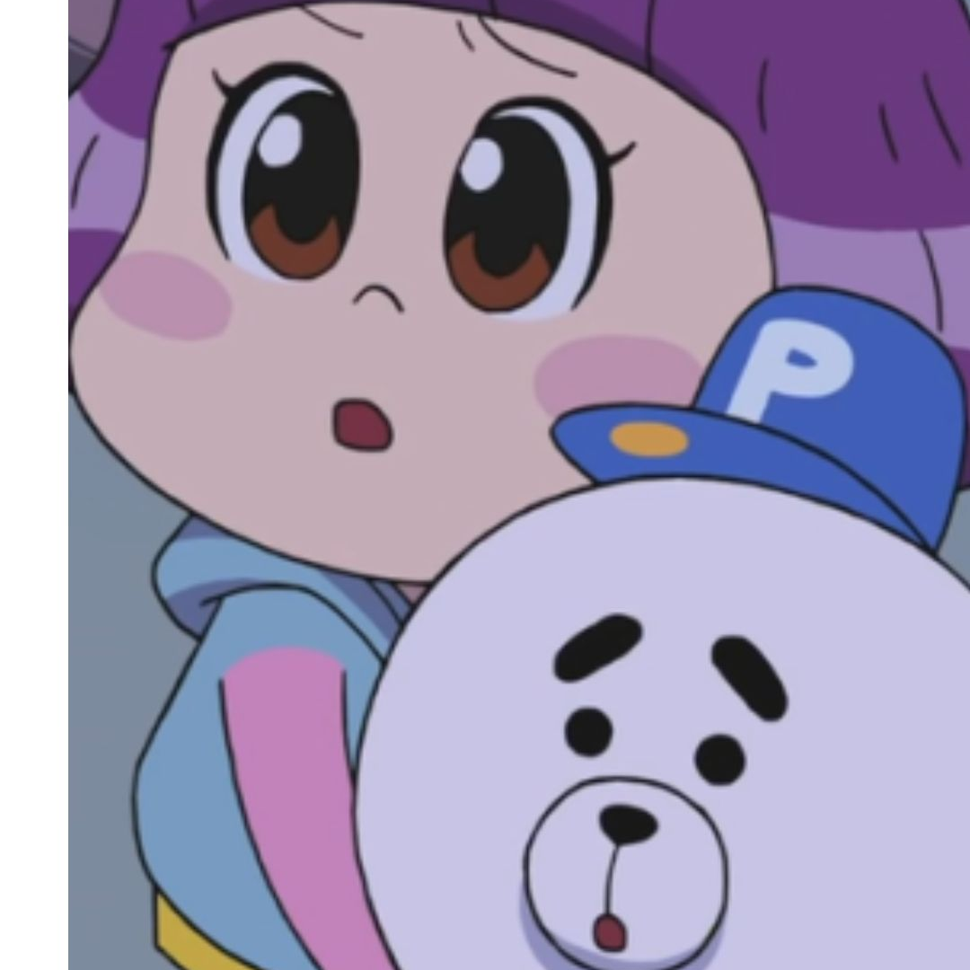 파파독 대표 이미지