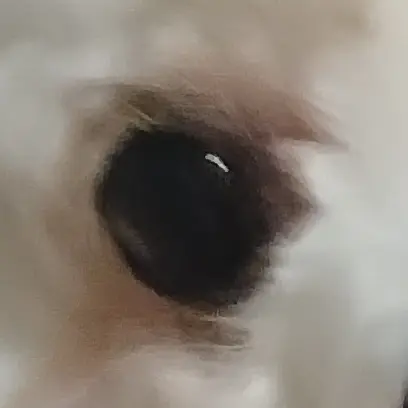 PoorGlobe9372의 조립식가족