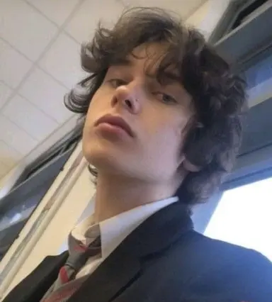 Profile image of Lucas Stein