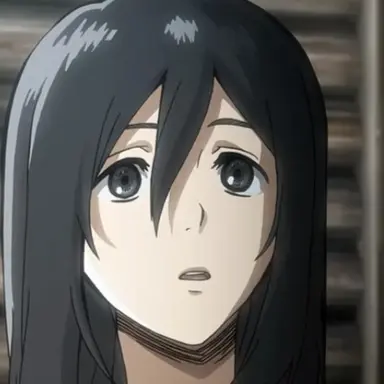 Profile image of 미카사