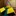Party noob