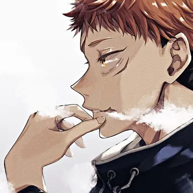 Profile image of 虎杖悠仁