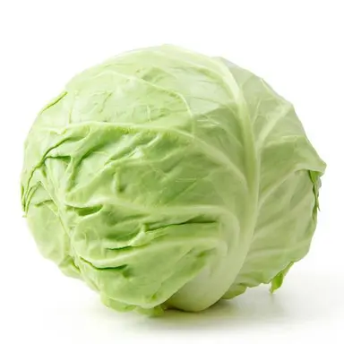 Profile image of キャベツ