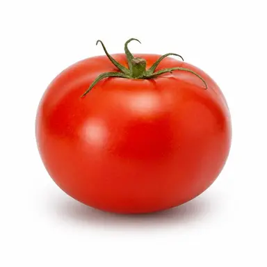 Profile image of トマト