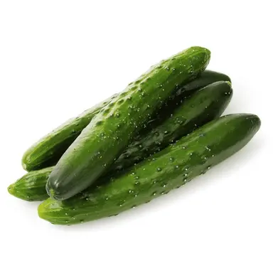 Profile image of きゅうり
