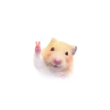 Profile image of ヒスン