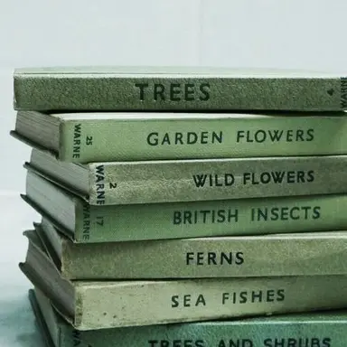 Profile image of 岩本 亮平