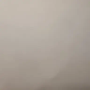 Profile image of 여우 키드