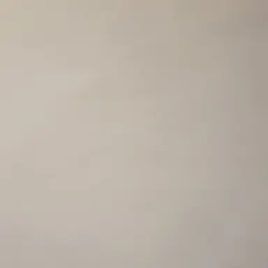 Profile image of usre 키드