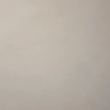 Profile image of 코알라 키드