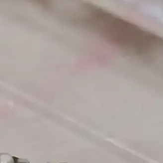 Profile image of 하리