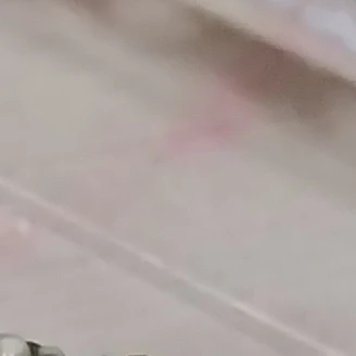 하리
