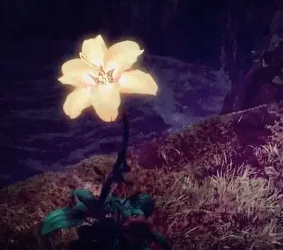 RealSpear0591의 Life Rp