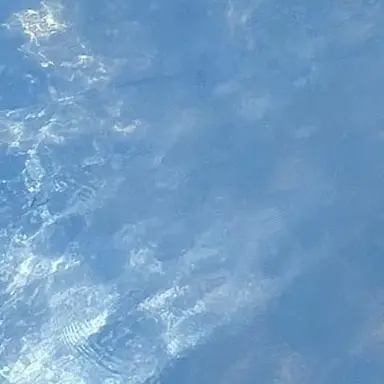 Profile image of 권시우
