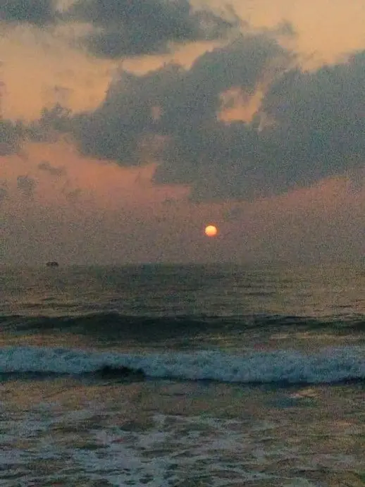 Slepteabag의 전혁우