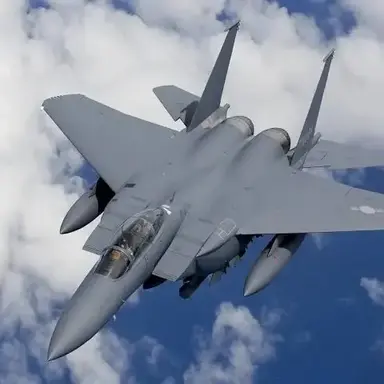 Profile image of Eagle
