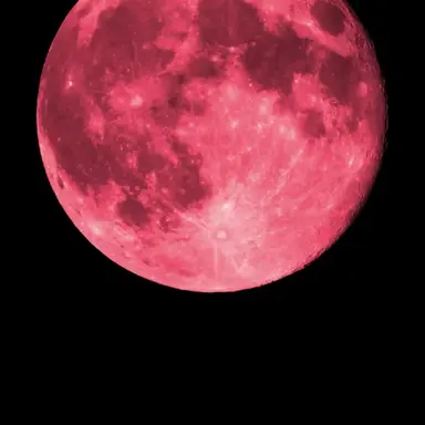 Profile image of なな