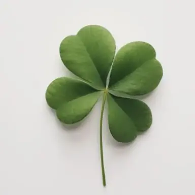 Profile image of 이청우