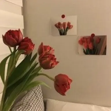 Profile image of 도소빈