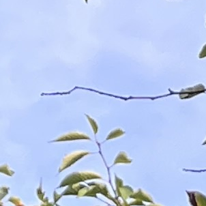 친구들과 5박6일 대표 이미지