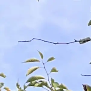 Profile image of 승현