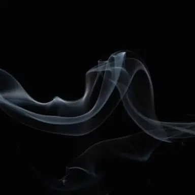 Profile image of そう