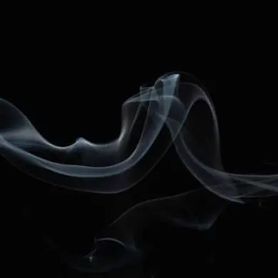 MistyLaw7641의 自分用