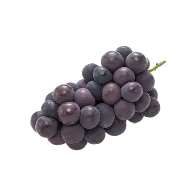 Profile image of 仲川 瑠夏