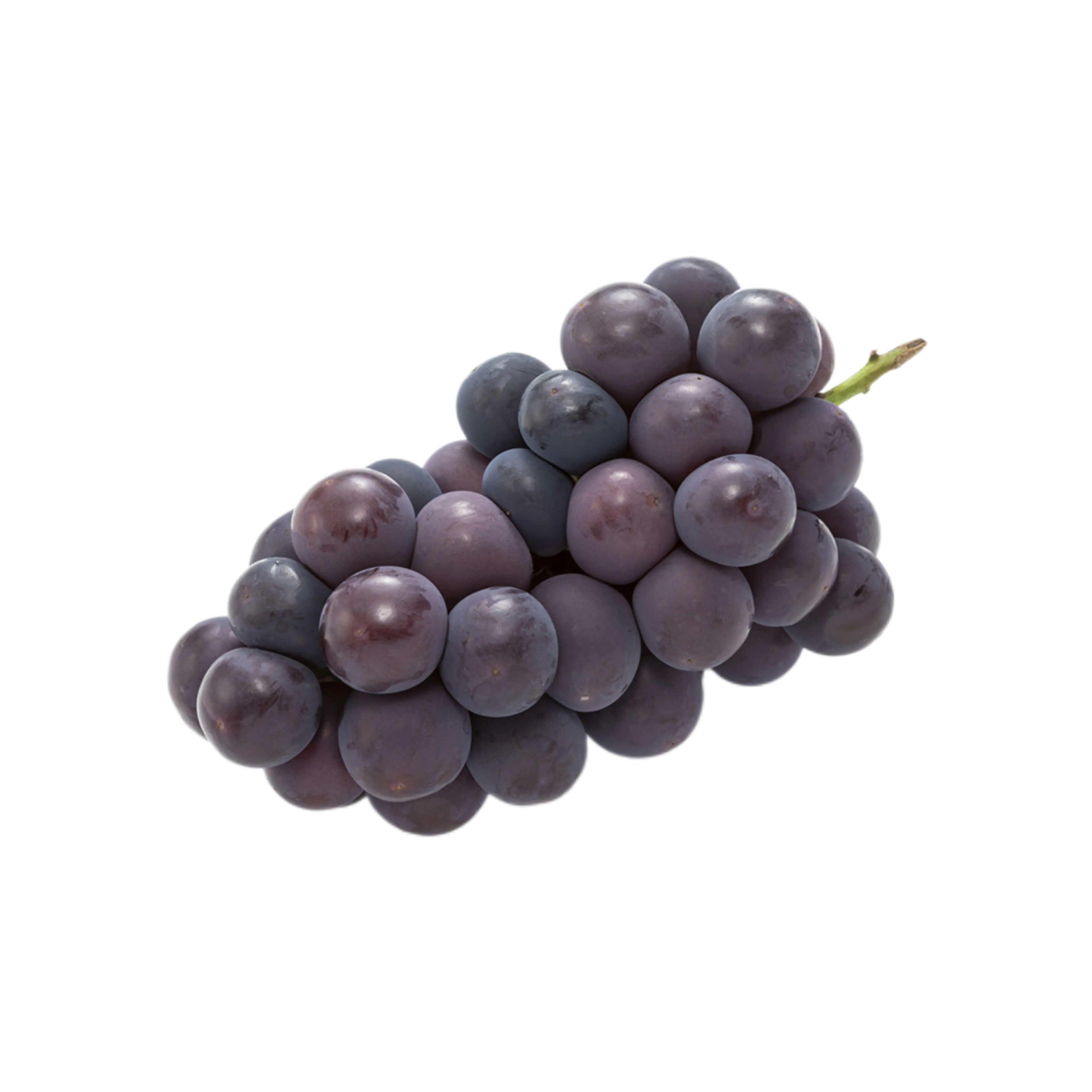 HARAJUKU의 恋人が朝帰りしたら…