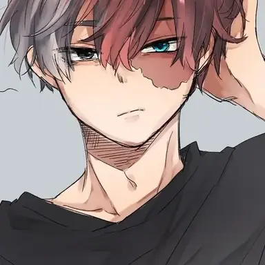 Profile image of Shoto todokoki