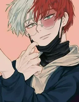 Profile image of Shoto todokoki