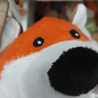 Profile image of 여우