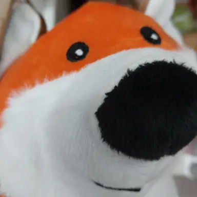 Profile image of 여우