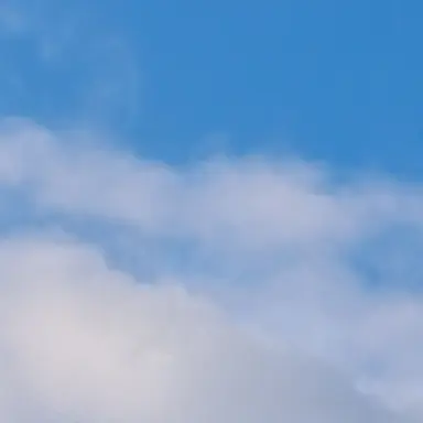 Profile image of チェ・ヘジュン
