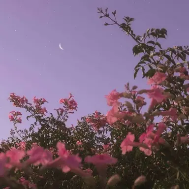 Profile image of 마플