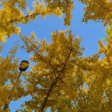 Profile image of 각별